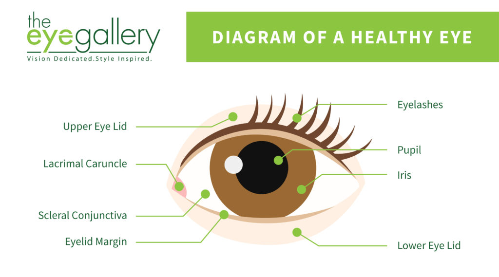 Waterline Eye Diagram